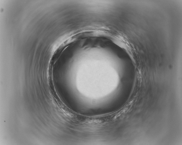 X0000088160340200706051057