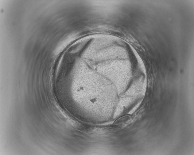 X0000088160341200706051057