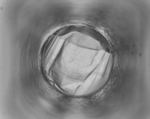 X0000088160342200706051057