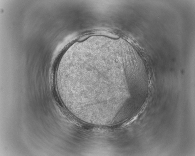 X0000088160343200706051057