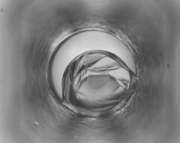 X0000088160344200706051057