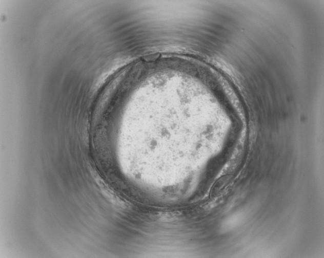 X0000088160345200706051057