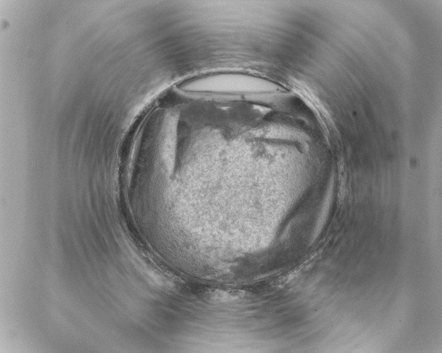 X0000088160346200706051057