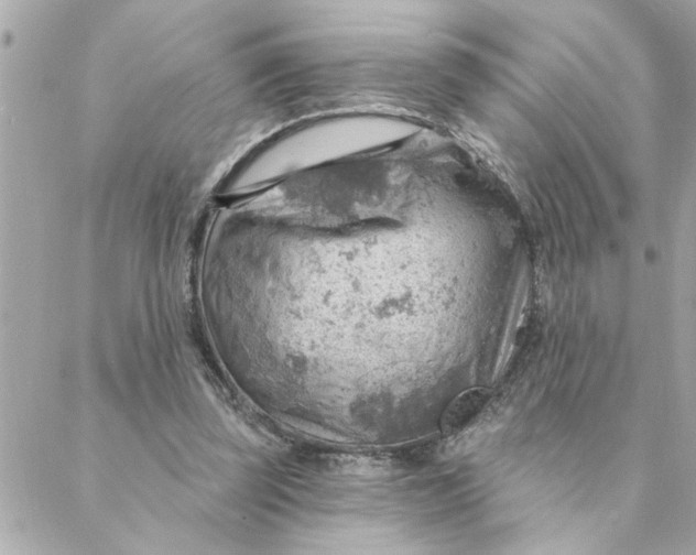 X0000088160347200706051057