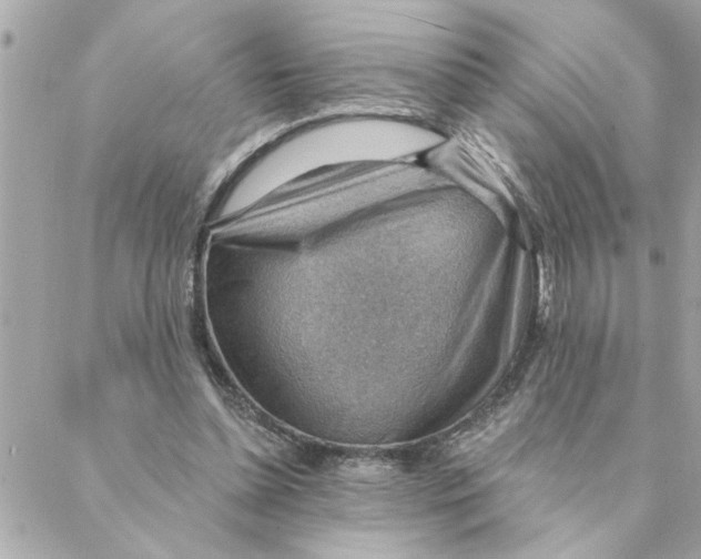 X0000088160348200706051057