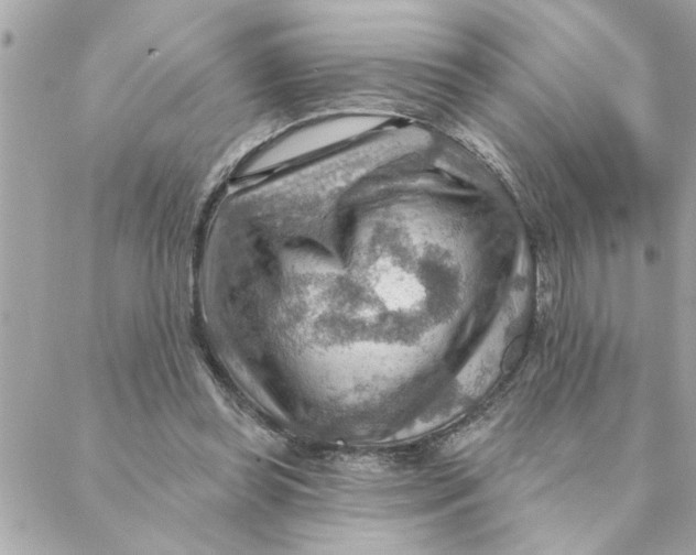 X0000088160349200706051057