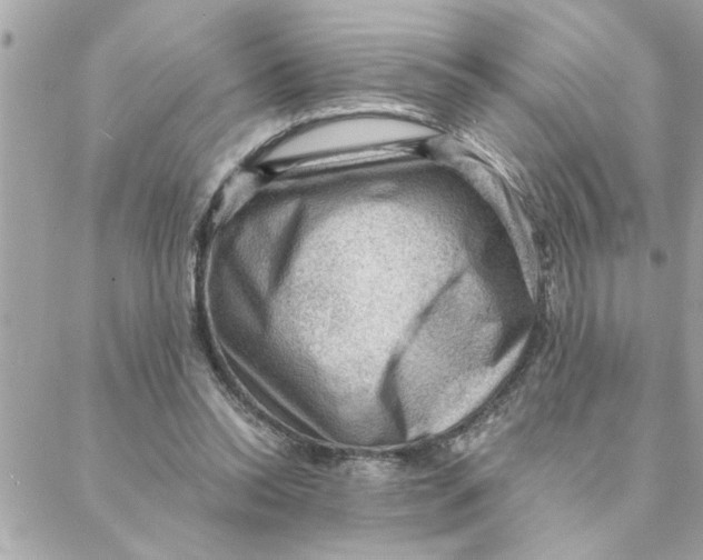 X0000088160350200706051057