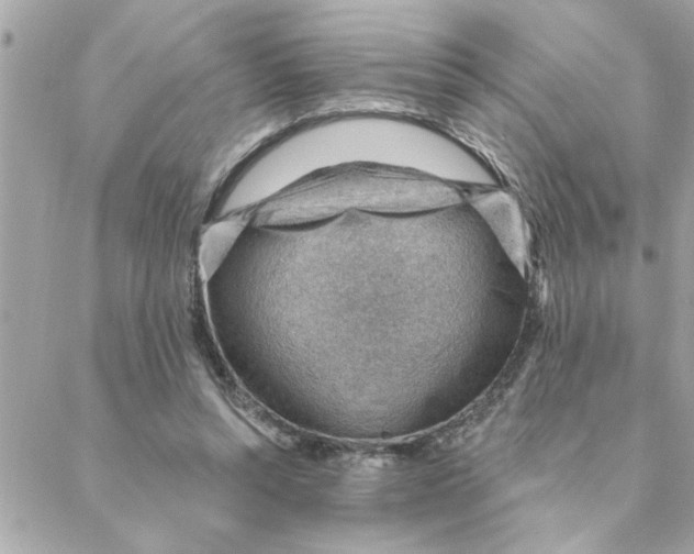 X0000088160352200706051057