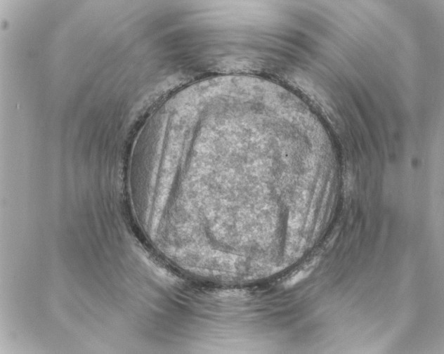 X0000088160353200706051057