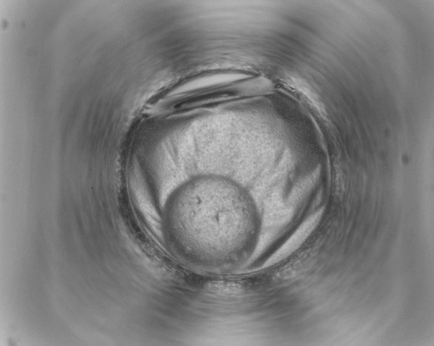 X0000088160354200706051057