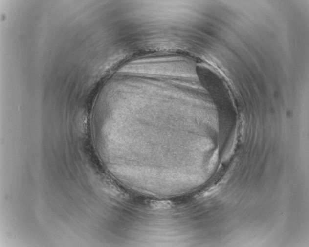 X0000088160355200706051057