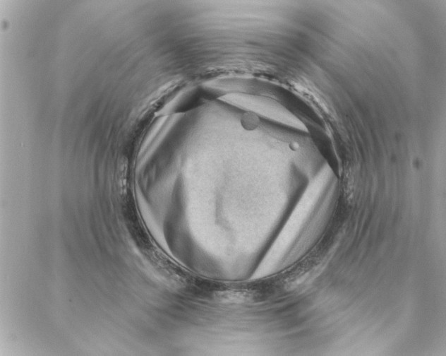 X0000088160356200706051057