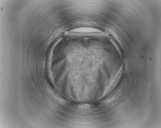 X0000088160357200706051057