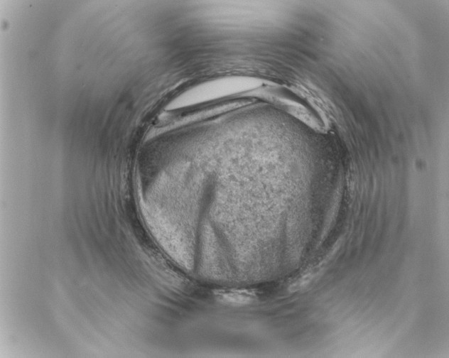 X0000088160359200706051057