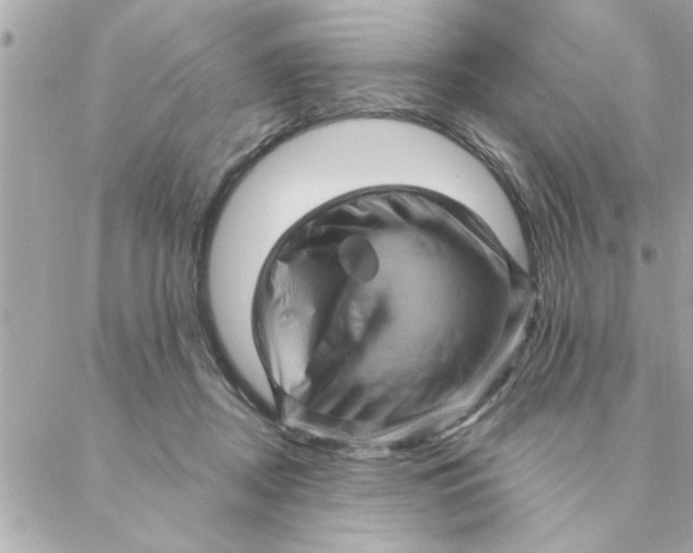 X0000088160362200706051057