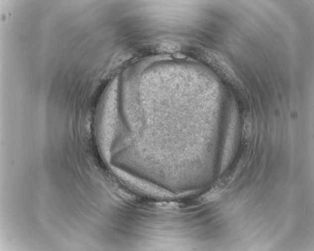 X0000088160363200706051057