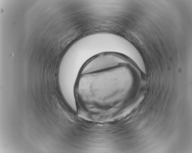 X0000088160364200706051057