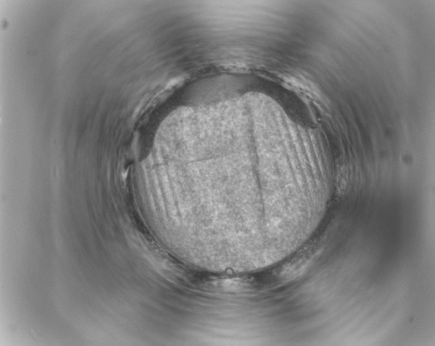 X0000088160365200706051057