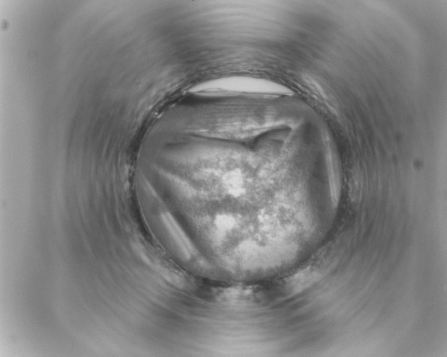 X0000088160366200706051057