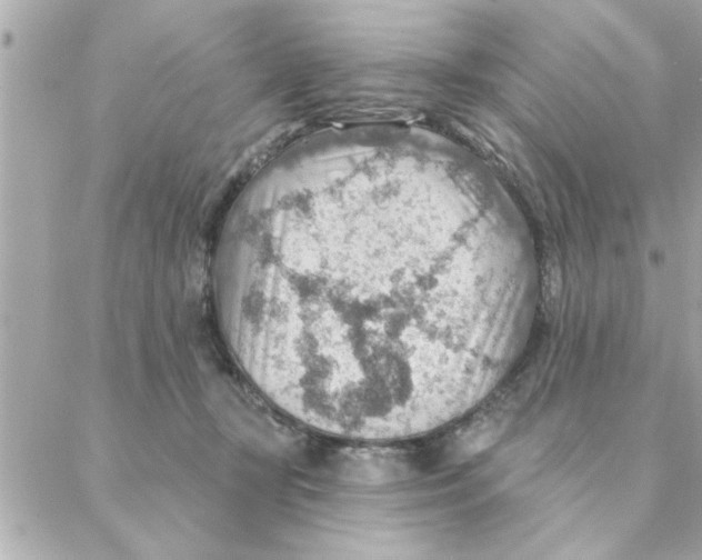 X0000088160367200706051057