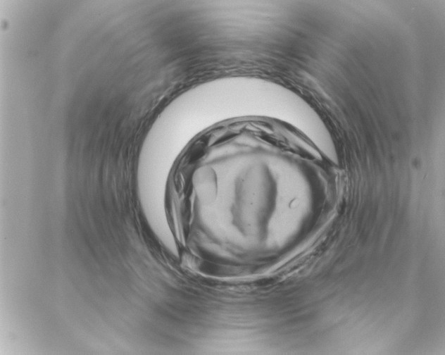 X0000088160368200706051057