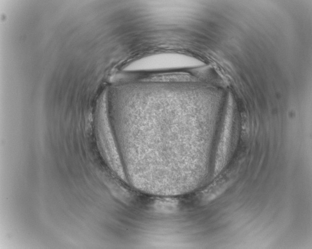 X0000088160369200706051057