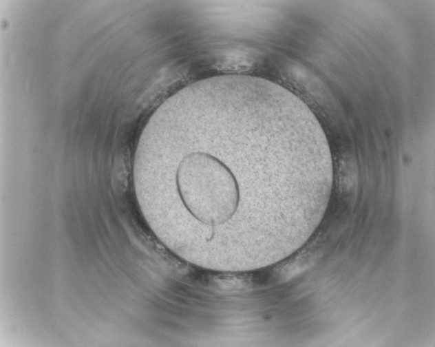 X0000088160370200706051057