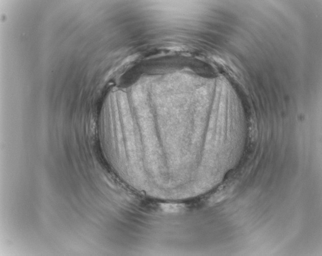 X0000088160371200706051057