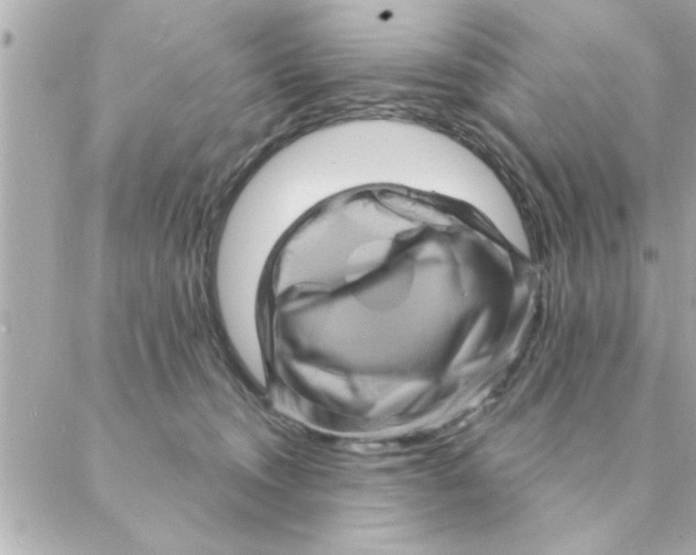 X0000088160372200706051057