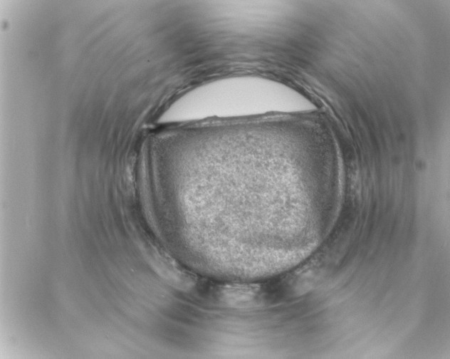 X0000088160373200706051057