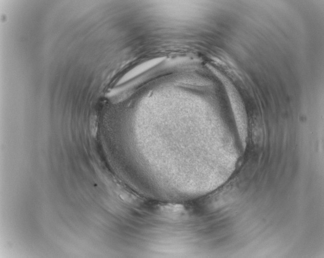 X0000088160374200706051057