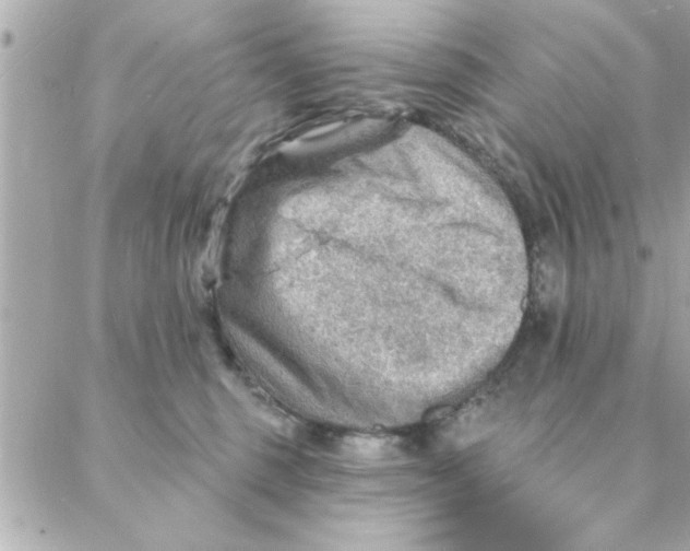 X0000088160375200706051057