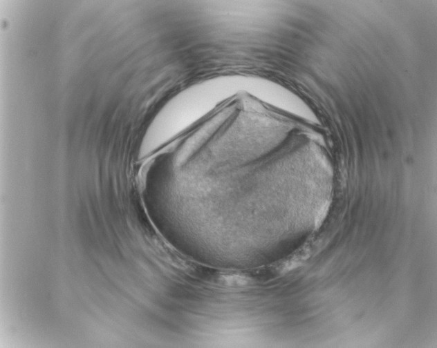 X0000088160376200706051057