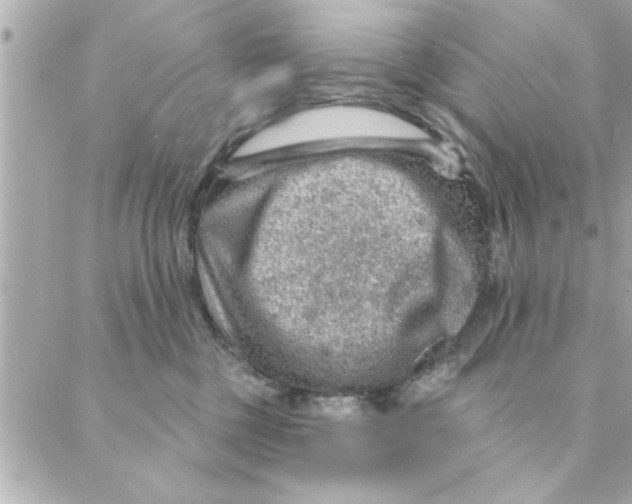 X0000088160377200706051057