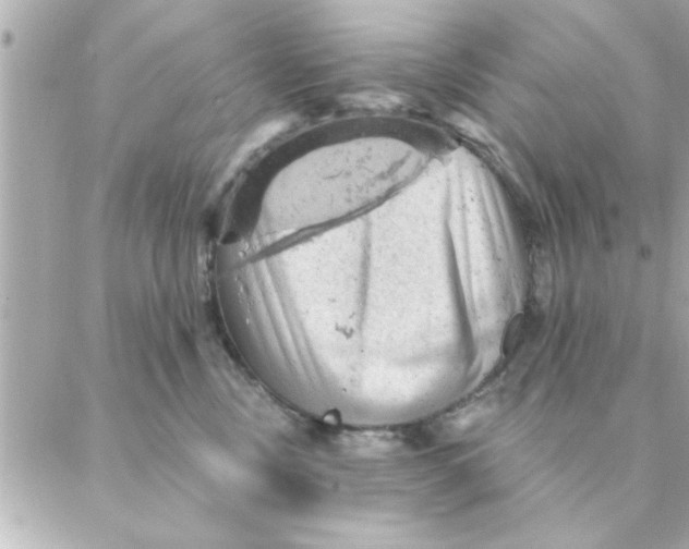 X0000088160378200706051057