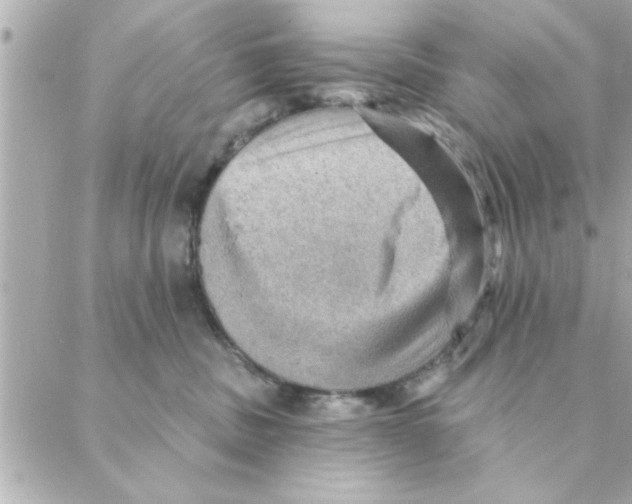 X0000088160379200706051057