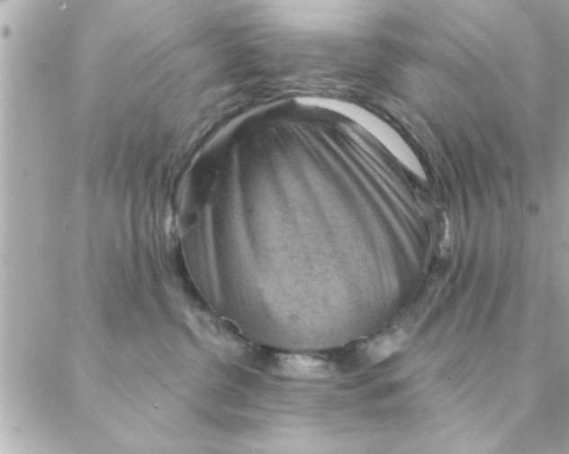 X0000088160380200706051057