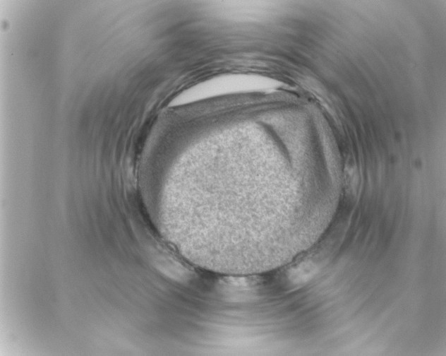 X0000088160381200706051057