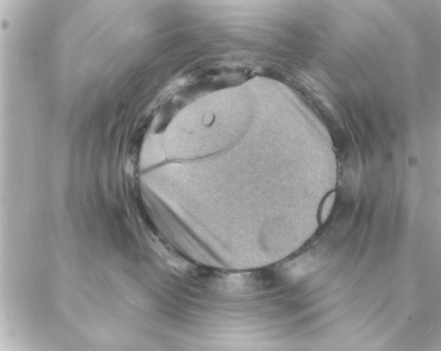 X0000088160382200706051057