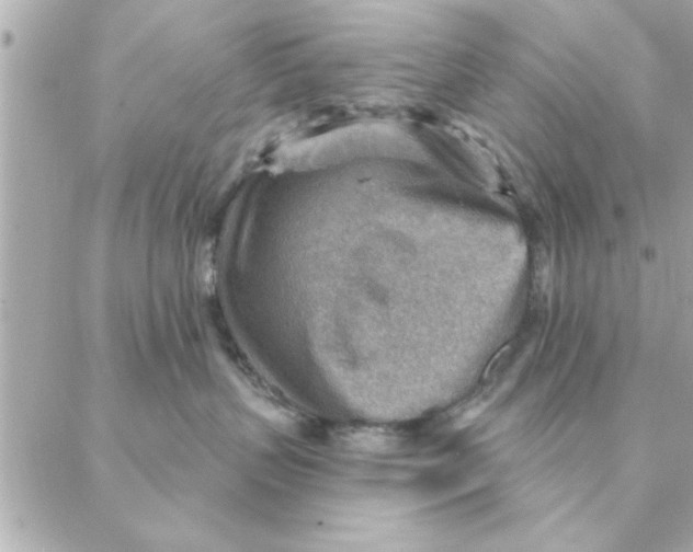 X0000088160383200706051057