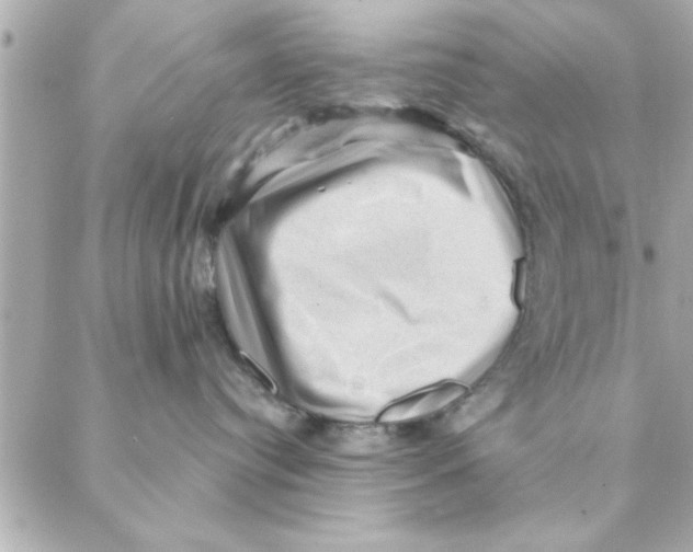 X0000088160384200706051057