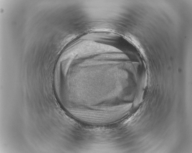 X0000088160385200706051057