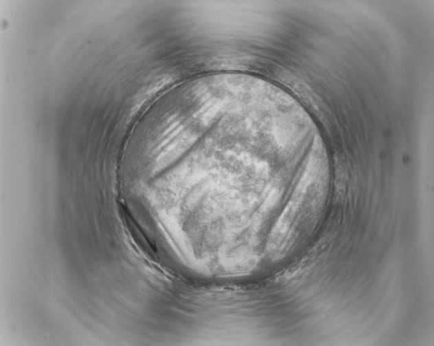 X0000088160386200706051057