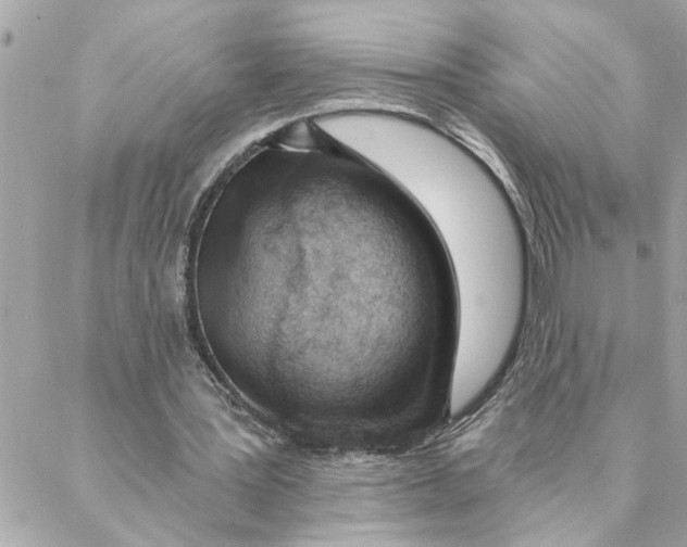 X0000088160387200706051057