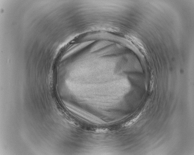 X0000088160388200706051057