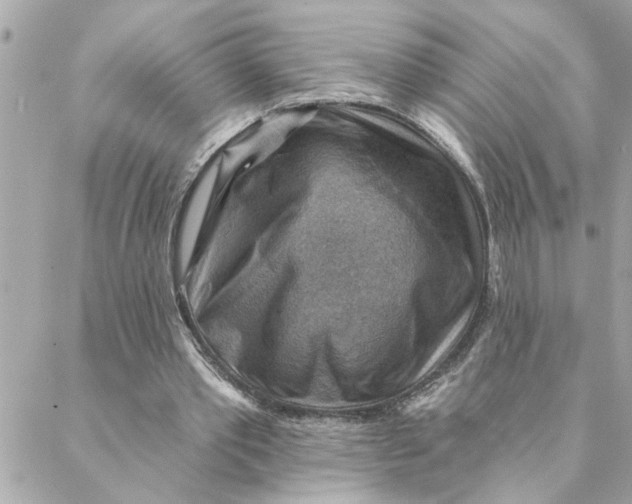 X0000088160389200706051057