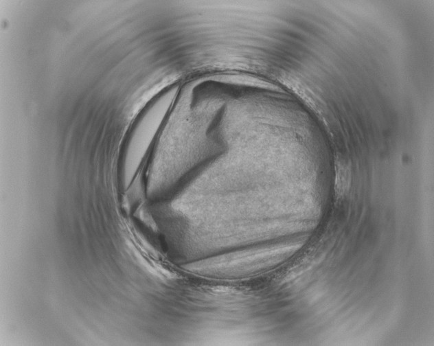 X0000088160390200706051057