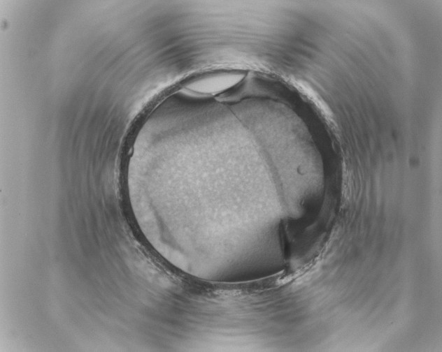 X0000088160391200706051057