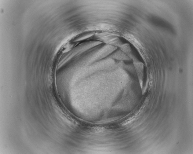 X0000088160392200706051057