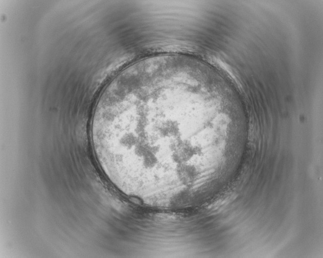 X0000088160394200706051056